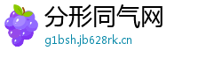 分形同气网